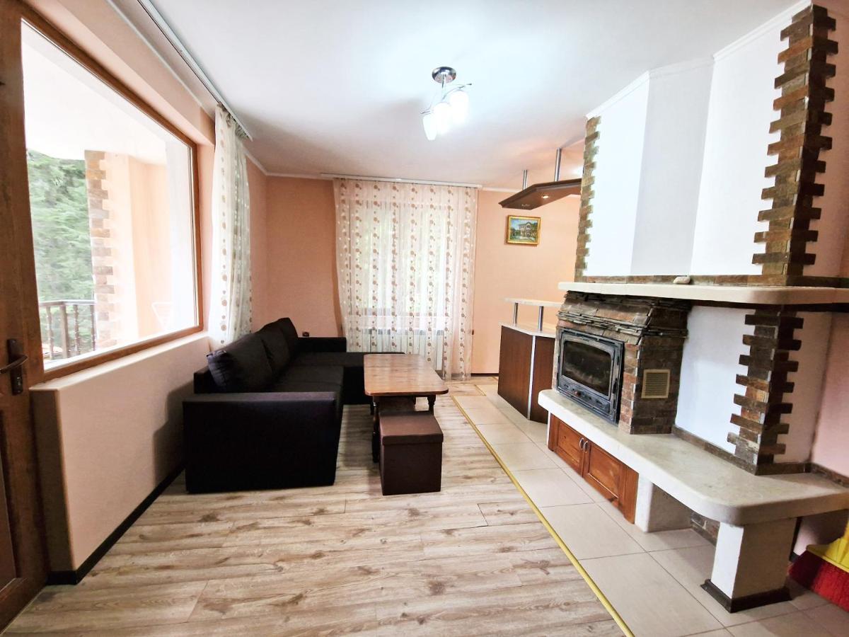 Ивелия Къща За Гости Dospat Luaran gambar