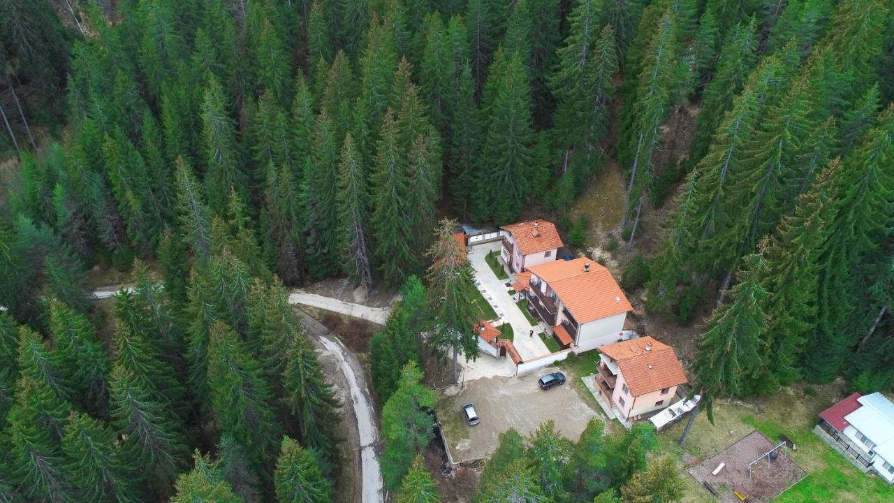 Ивелия Къща За Гости Dospat Luaran gambar